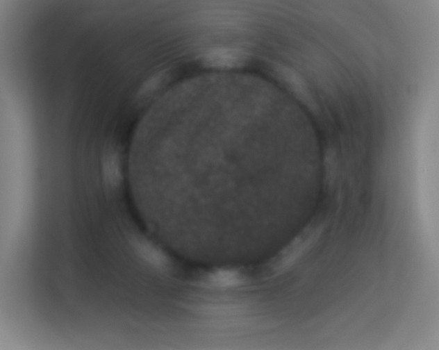 X0000113940114200910091631