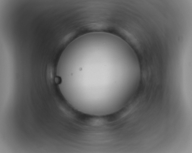 X0000113940115200910091631