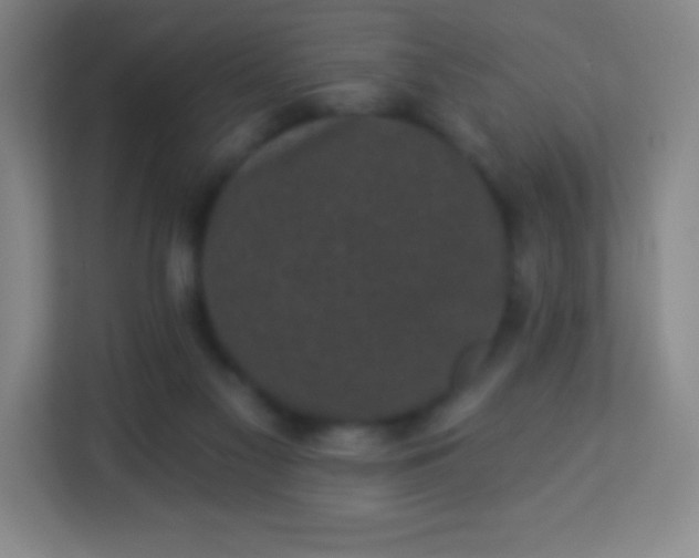 X0000113940117200910091631