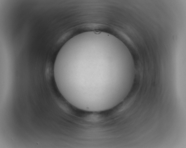 X0000113940119200910091630