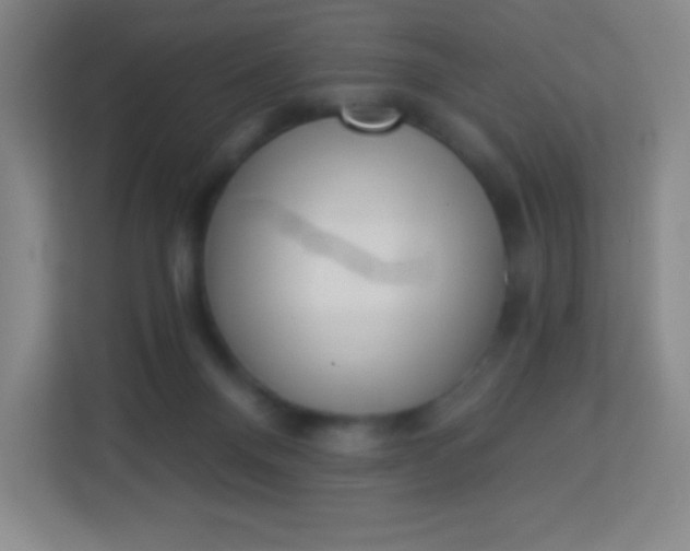 X0000113940120200910091630