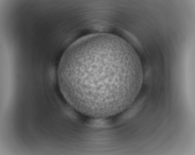 X0000113940121200910091630