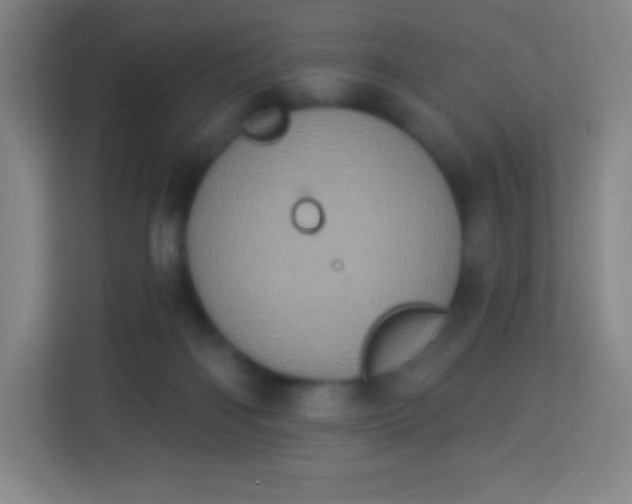 X0000113940122200910091630