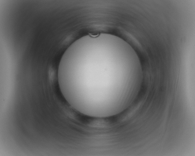 X0000113940123200910091630