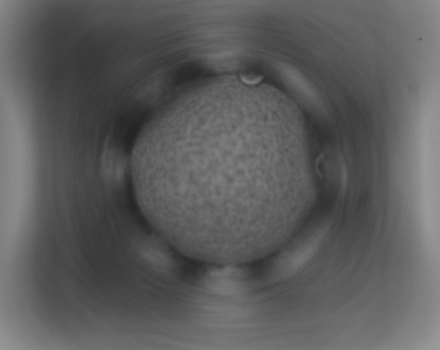 X0000113940125200910091630