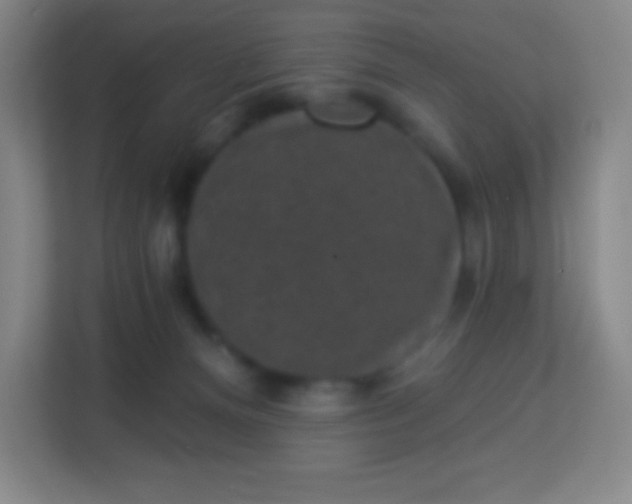 X0000113940128200910091630