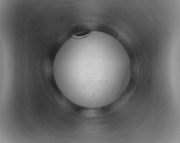 X0000113940129200910091630