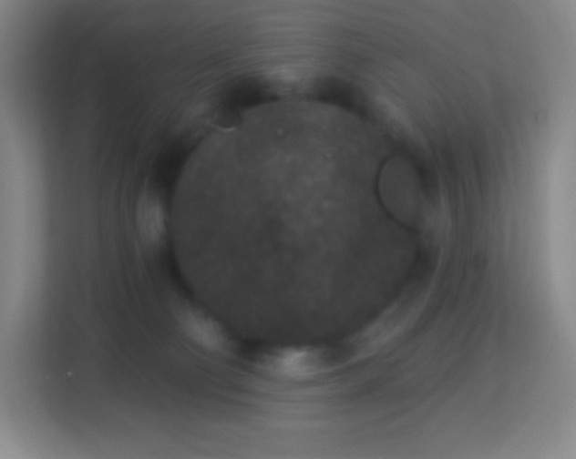 X0000113940130200910091630