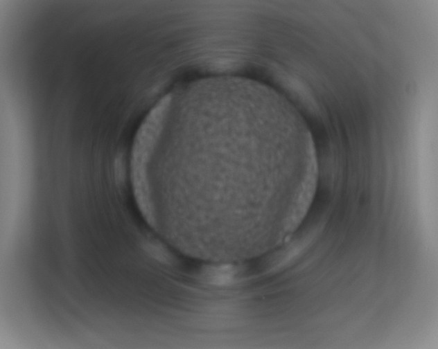 X0000113940131200910091630