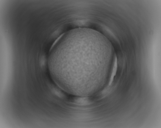 X0000113940132200910091630