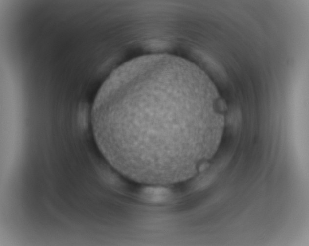 X0000113940133200910091630