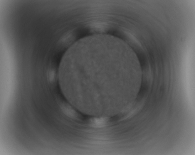 X0000113940134200910091630