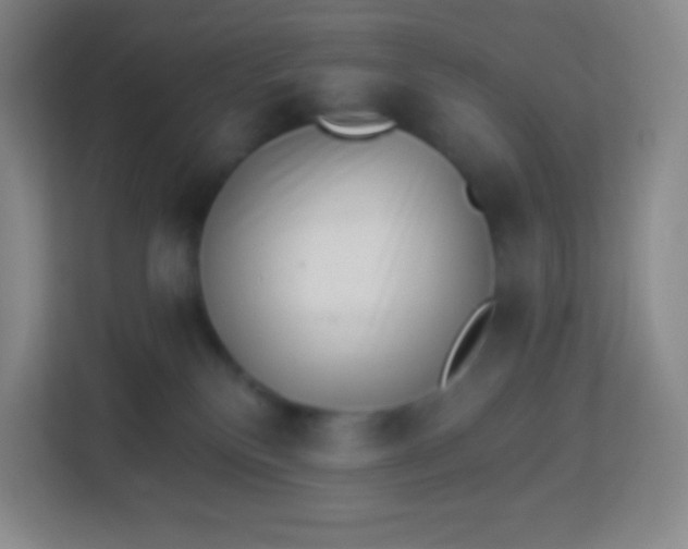 X0000113940136200910091630