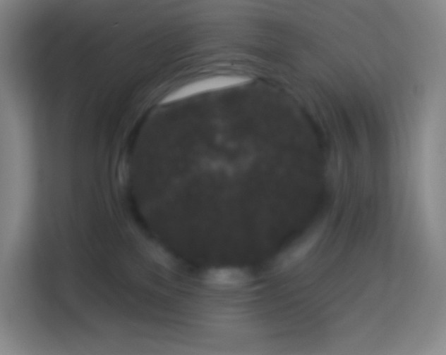 X0000113940137200910091630