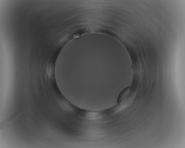 X0000113940139200910091630