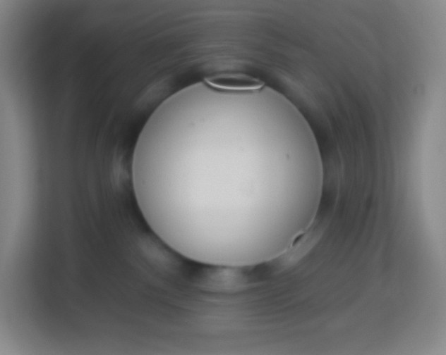 X0000113940140200910091630