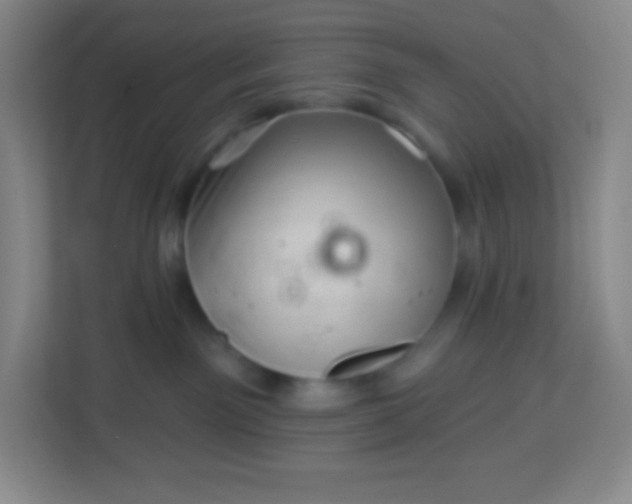 X0000113940141200910091630