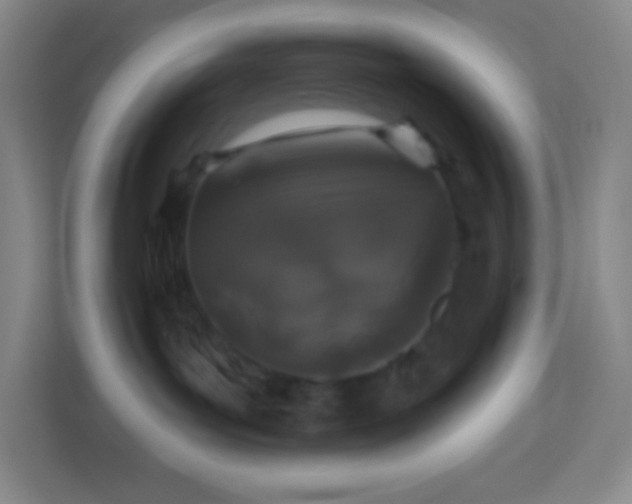 X0000113940143200910091630