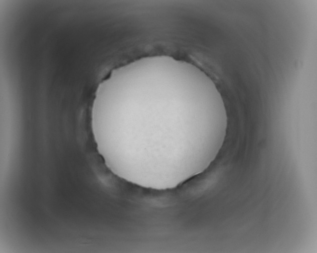 X0000113940144200910091630