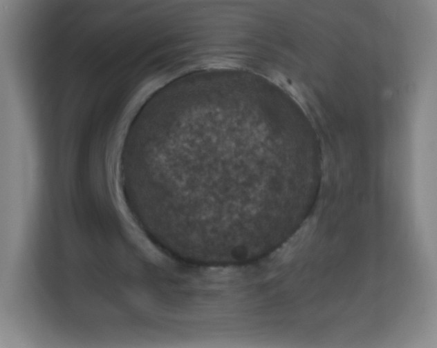 X0000113940145200910091630