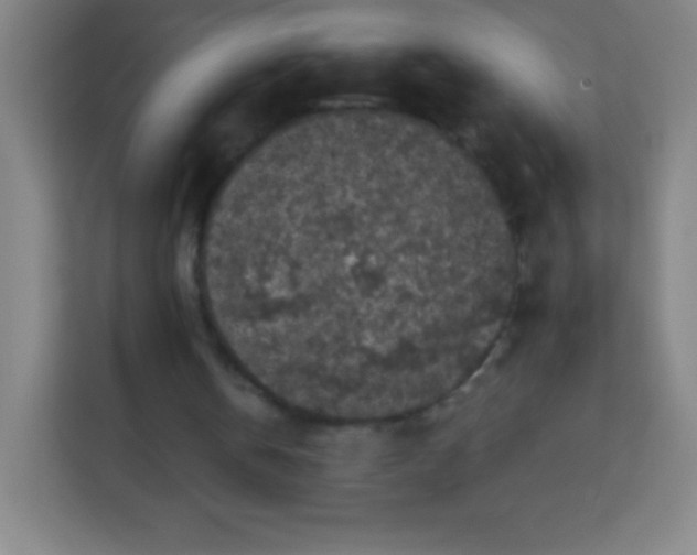 X0000113940146200910091630