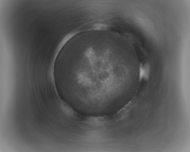 X0000113940147200910091630