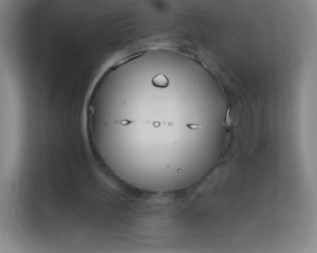 X0000113940148200910091630