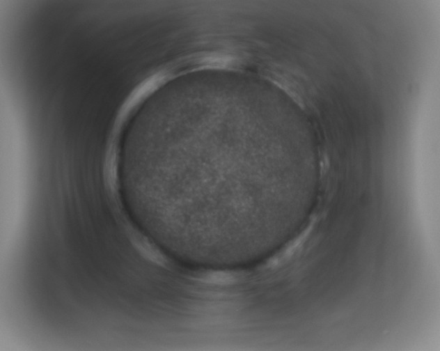 X0000113940149200910091630