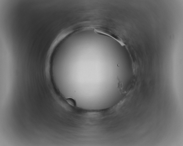 X0000113940150200910091630