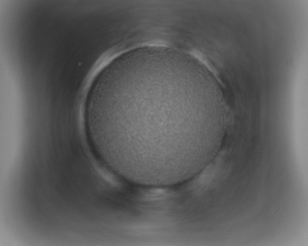 X0000113940151200910091630