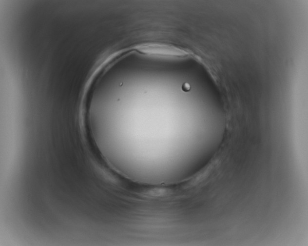 X0000113940152200910091630