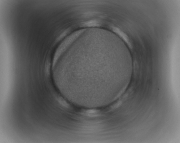 X0000113940153200910091630