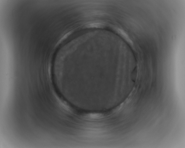 X0000113940154200910091630