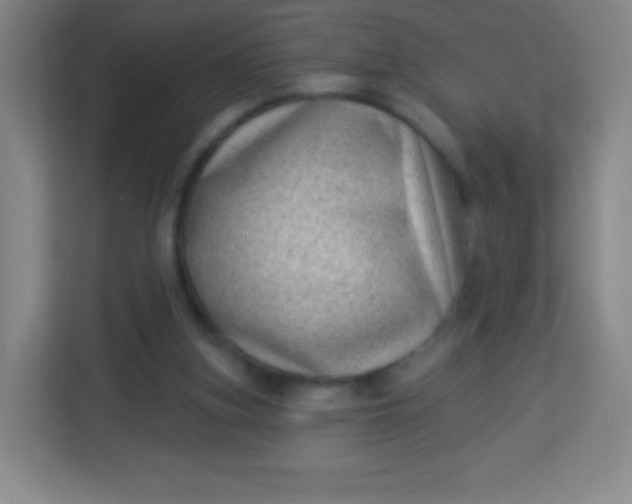 X0000113940155200910091630