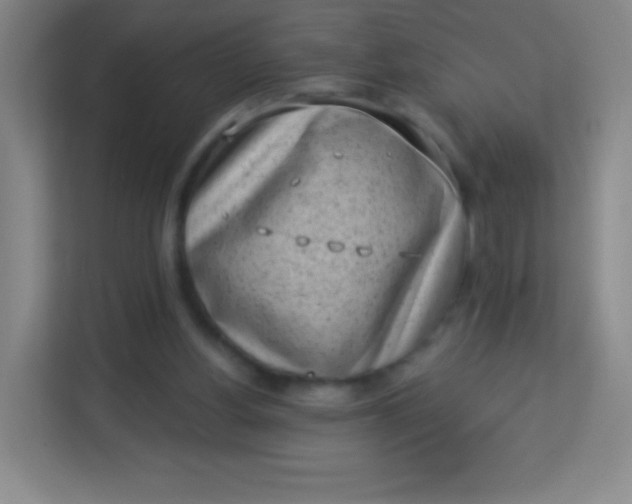 X0000113940156200910091630