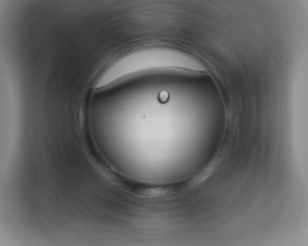 X0000113940158200910091630