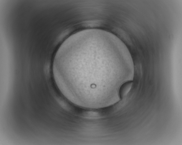 X0000113940159200910091630