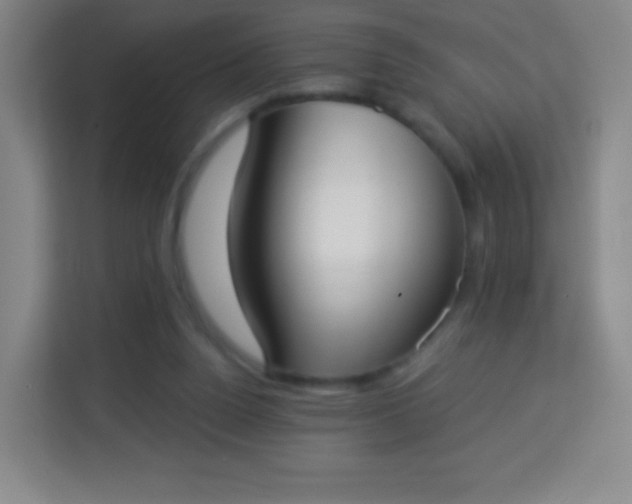 X0000113940160200910091630