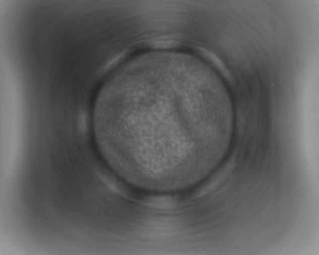 X0000113940161200910091630