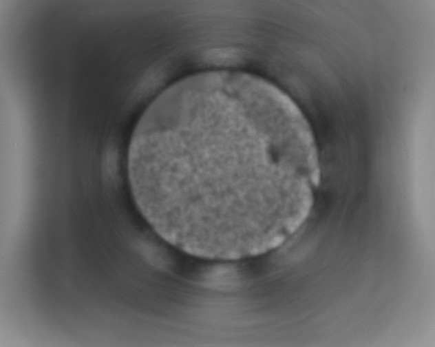 X0000113940162200910091630