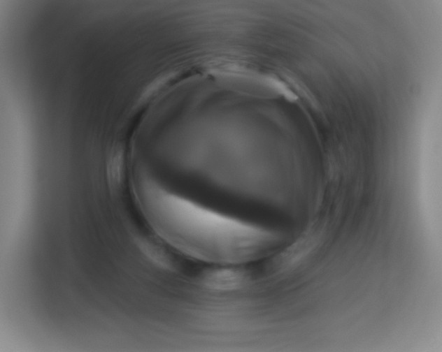 X0000113940163200910091630