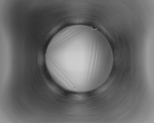 X0000113940164200910091630