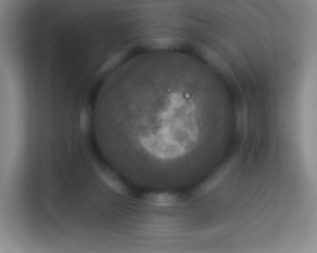 X0000113940165200910091630