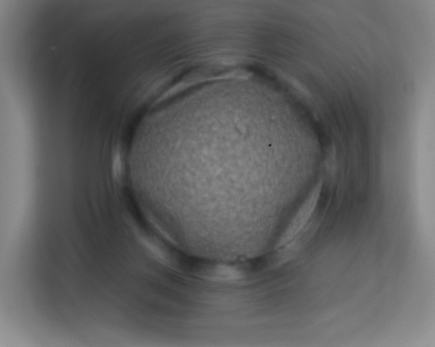 X0000113940166200910091630