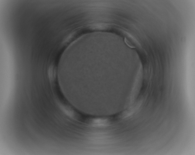 X0000113940168200910091630