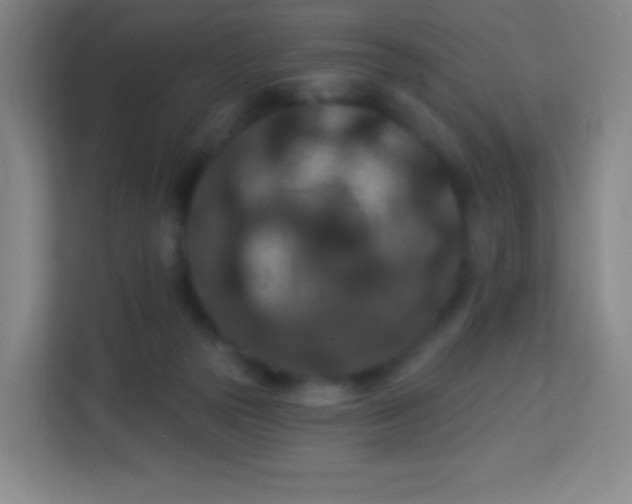 X0000113940169200910091630