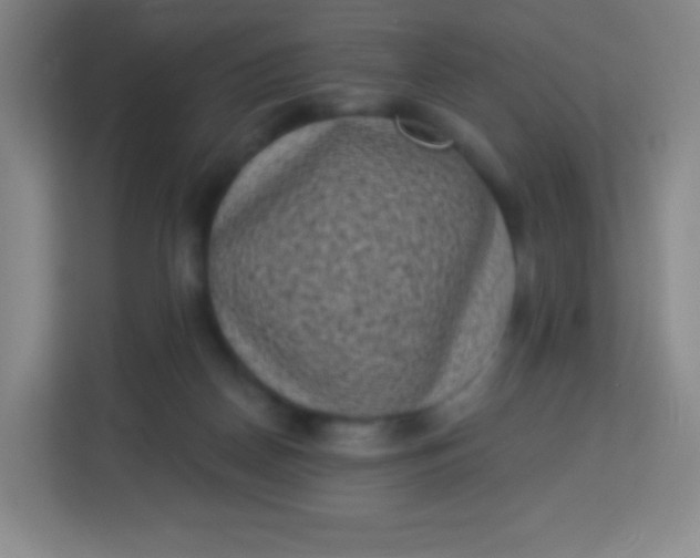 X0000113940170200910091630