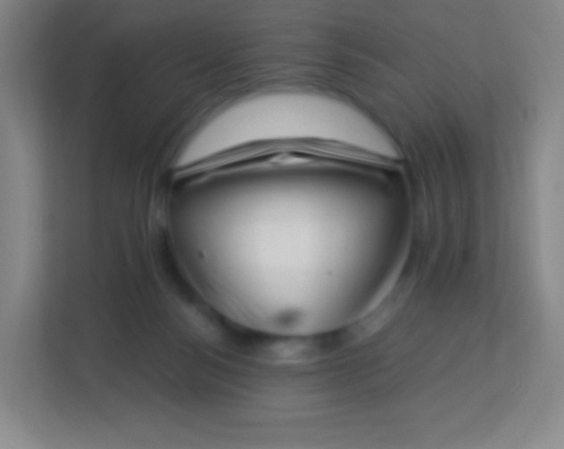 X0000113940172200910091630