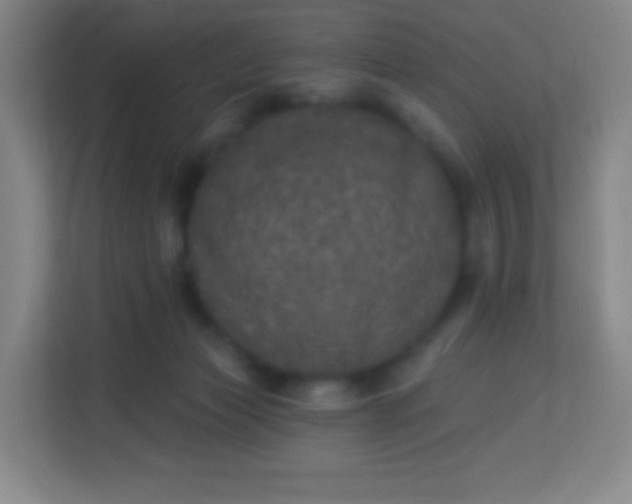 X0000113940173200910091630