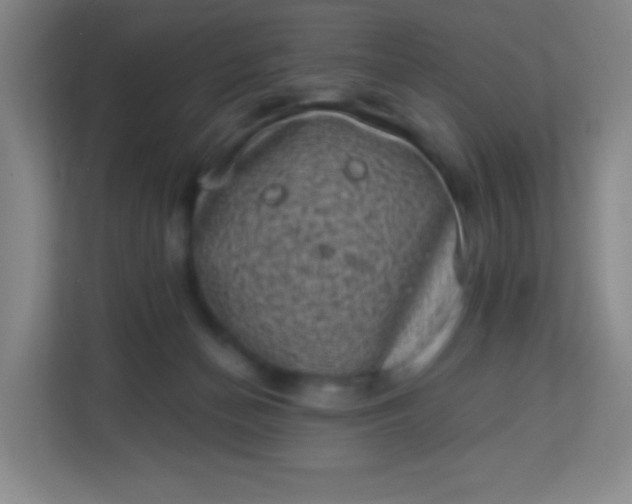 X0000113940174200910091630